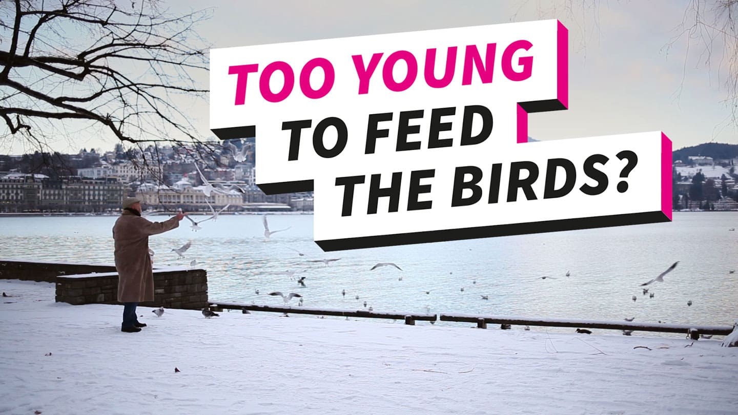 ü65 Internship at Rocket - #tooyoungtofeedthebirds